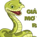 Ý nghĩa giấc mơ thấy rắn