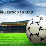 Giới thiệu cược xâu OK9